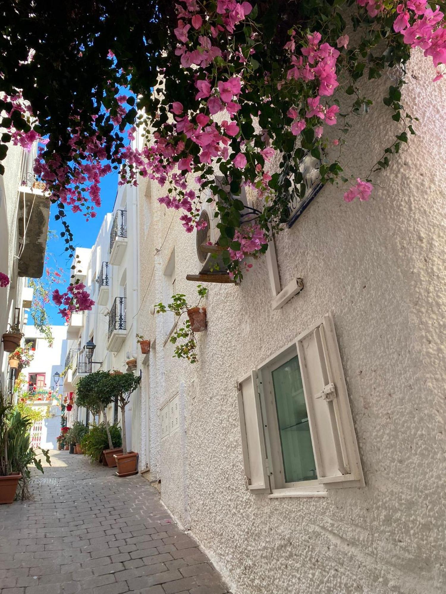 Aura Mar Mojacar Apartment Extérieur photo